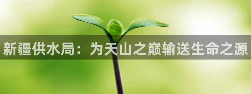 球友会·(QY)官方网站