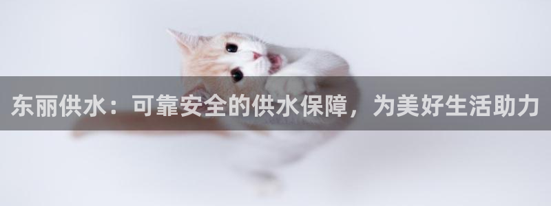 球友会体育app下载官网苹果