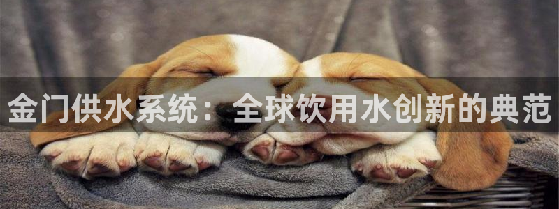 球友会体育app官方版下载安装
