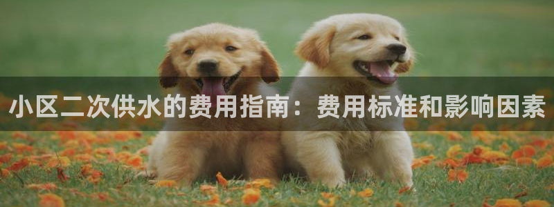 球友会app官网下载苹果