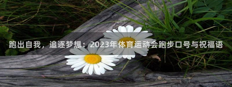 球王会体育