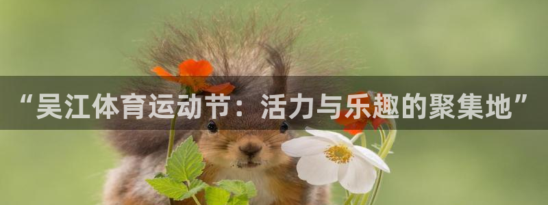 球王会体育
