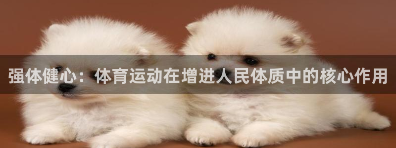 球王会体育