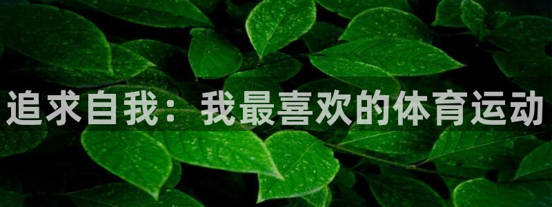 球王会体育