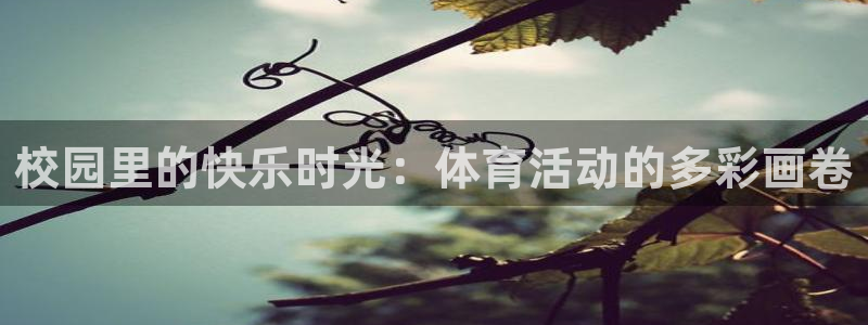 球王会体育