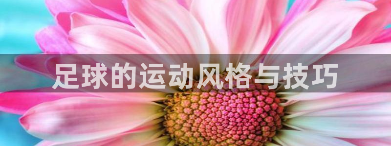 球王会体育