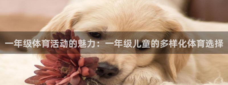 球王会体育