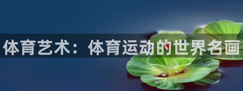 球王会体育