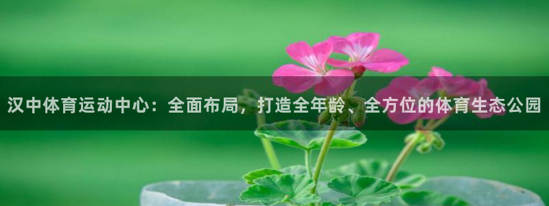 球王会体育