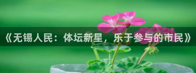 球王会体育