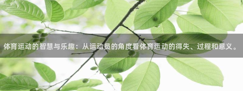 球王会体育