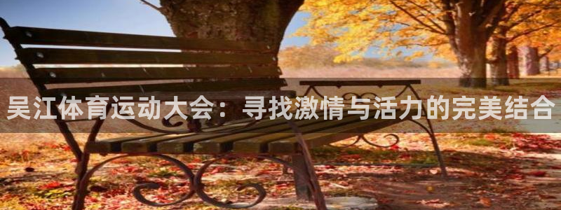 球王会体育