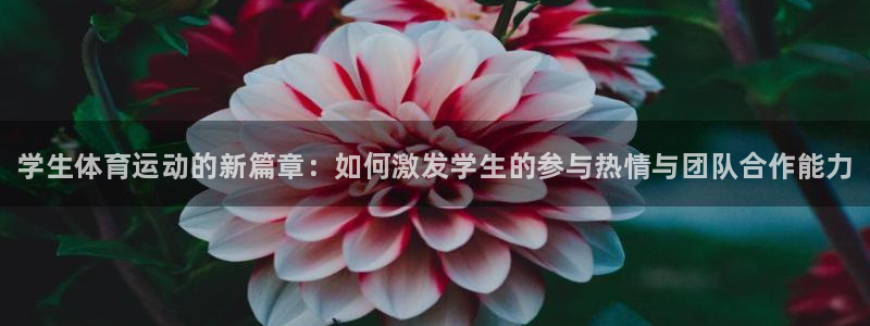 球王会体育