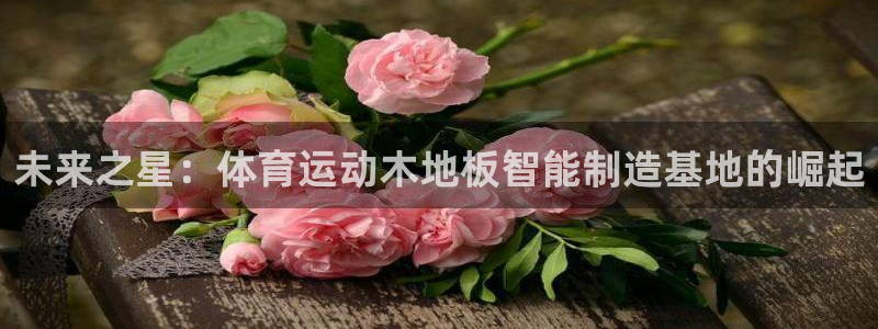 球王会体育