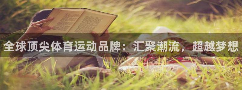 球王会体育
