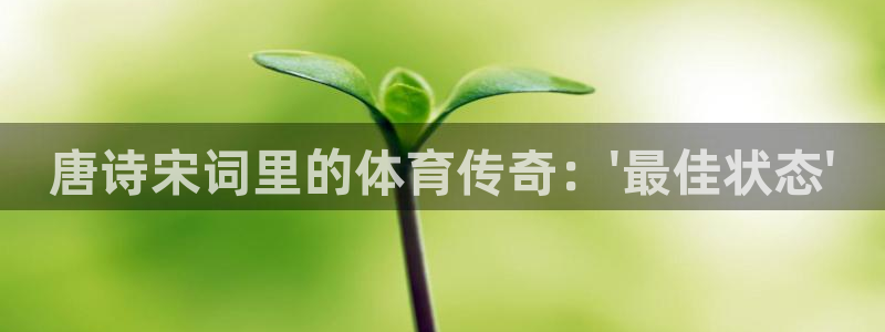 球王会体育