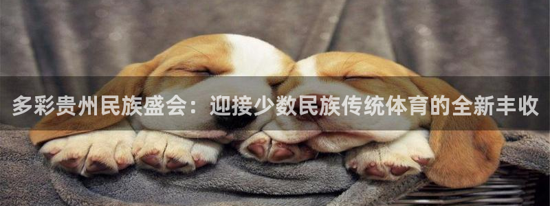 球王会体育