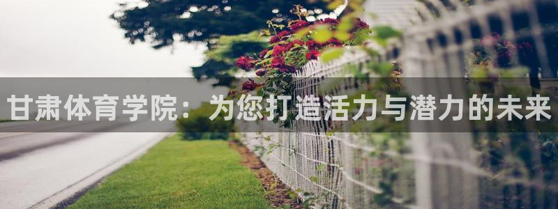 球王会体育