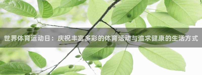 球王会体育