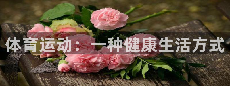 球王会体育
