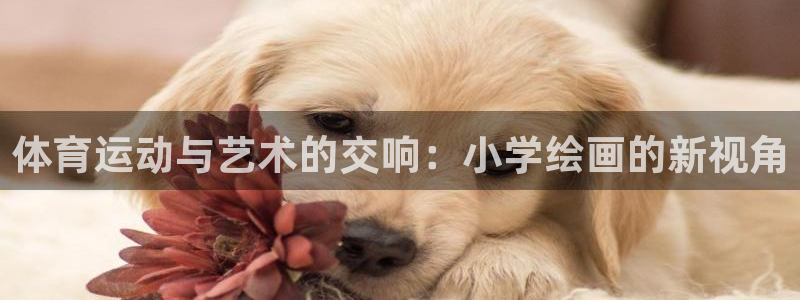 球王会体育