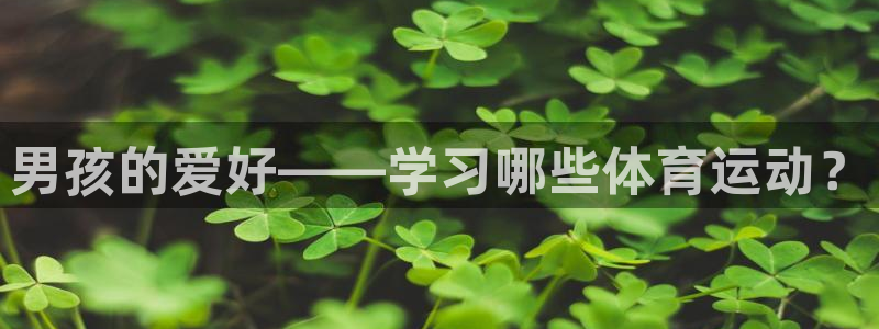球王会体育