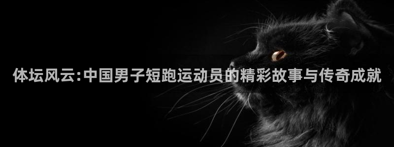 球王会体育
