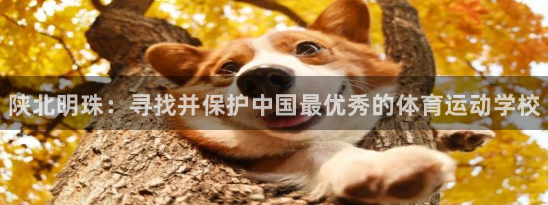 球王会体育