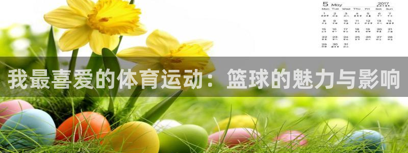 球王会体育