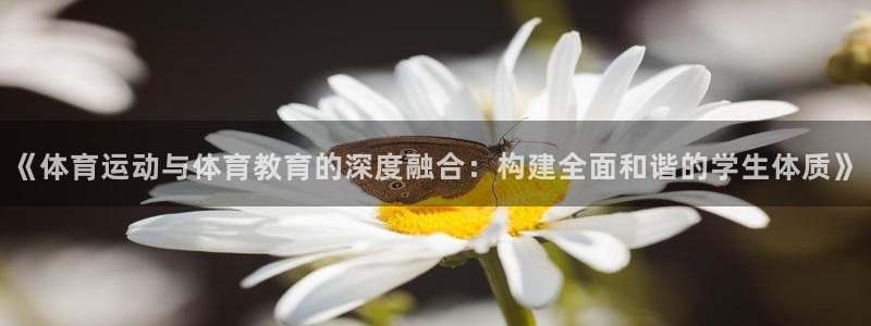 球王会体育