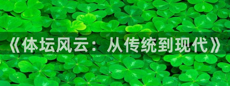 球王会体育