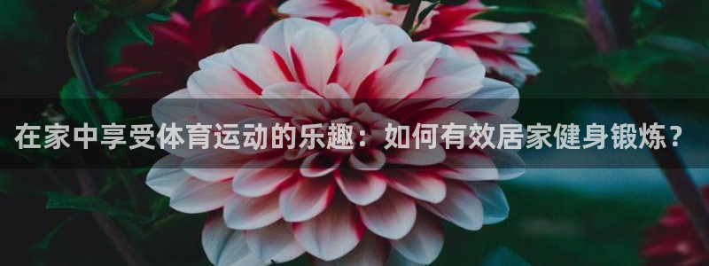 球王会体育