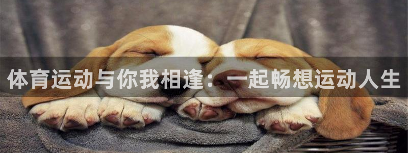 球王会体育