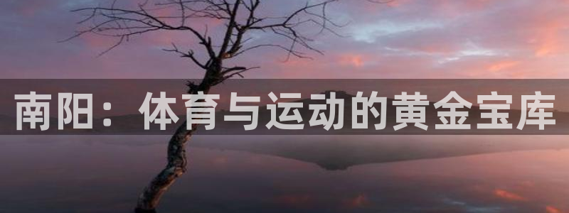 球王会体育