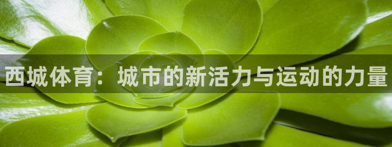 球王会体育