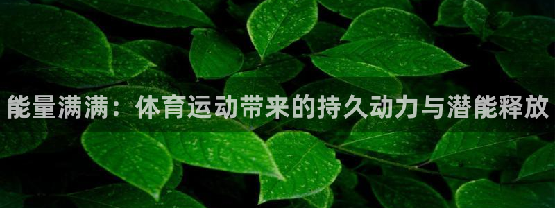 球王会体育