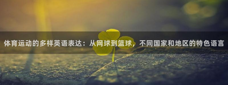 球王会体育