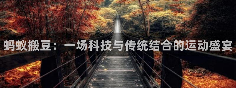 球王会体育