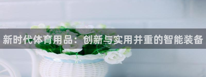 球王会体育