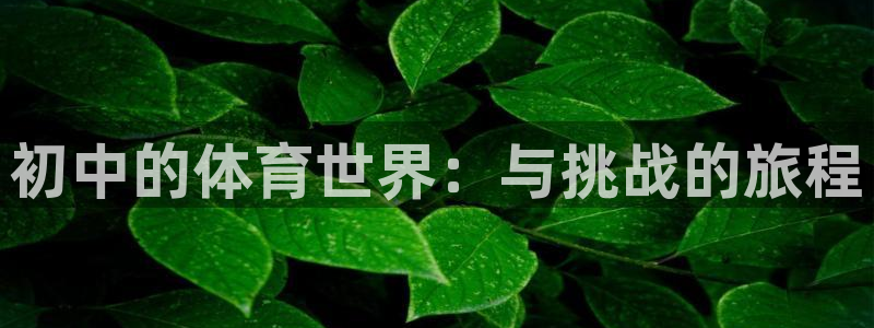 球王会体育