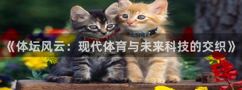 球王会体育