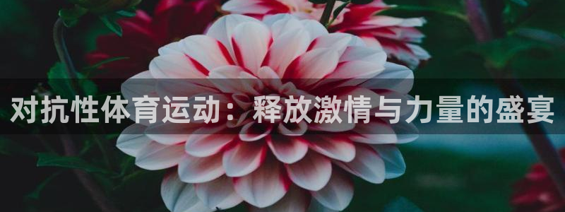 球王会体育