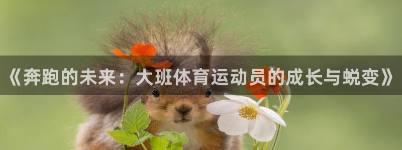 球王会体育
