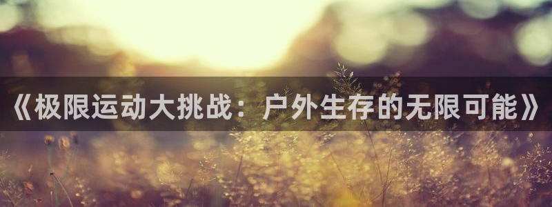 球王会体育