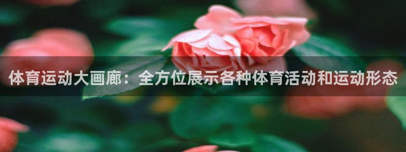 球王会体育