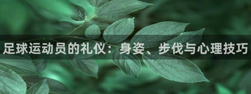 球王会体育