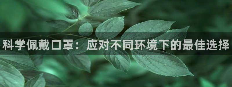 球王会体育