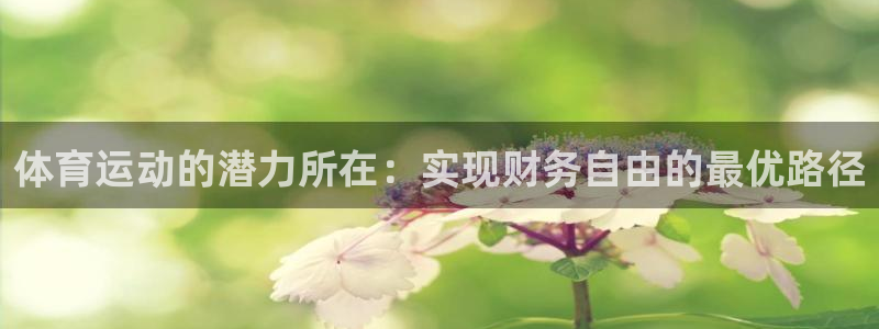 球王会体育