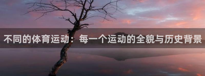 球王会体育