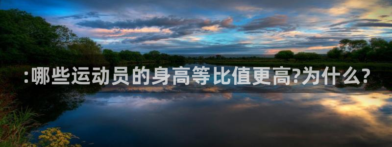 球王会体育